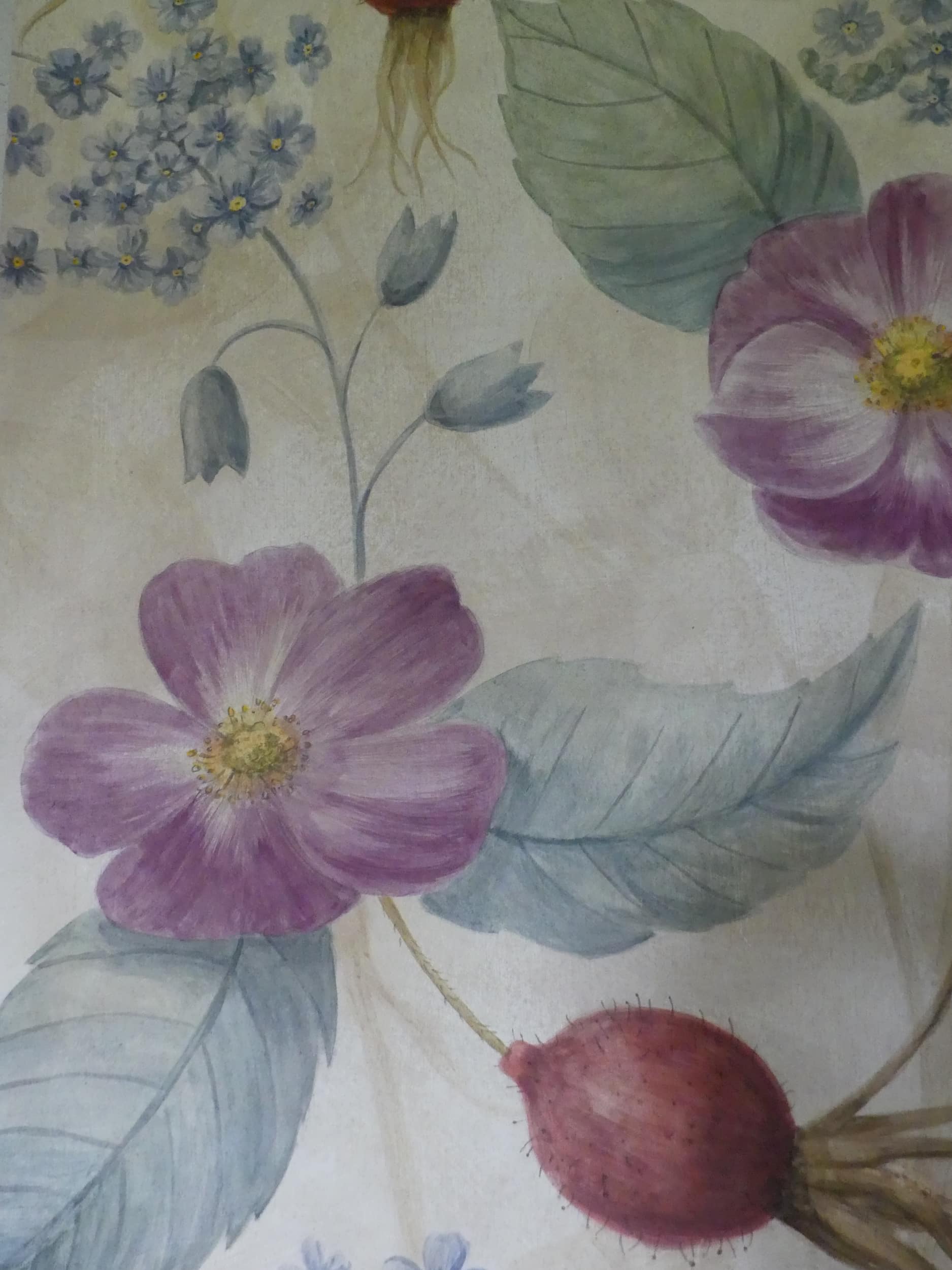 papier decoratifs