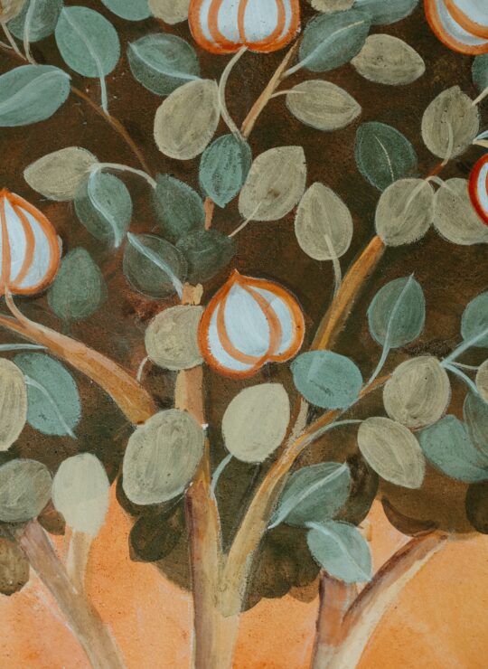 zoom davanzati portrait