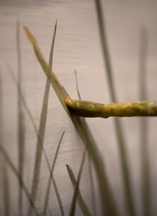 basse def gaelle damon marion saupin 15