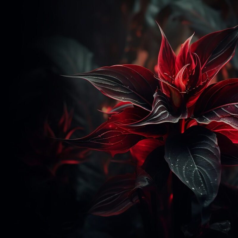 blog skin zinest 02 1200x800